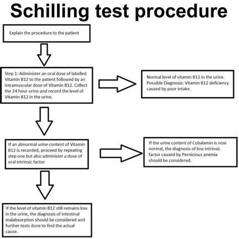 Understanding Schilling test: A Comprehensive Patient Guide.